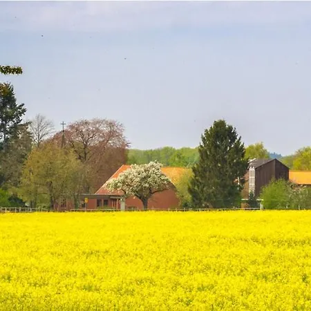 Feriehus Gruppen, Feste, Tagungen, Urlaubsgebiet *
